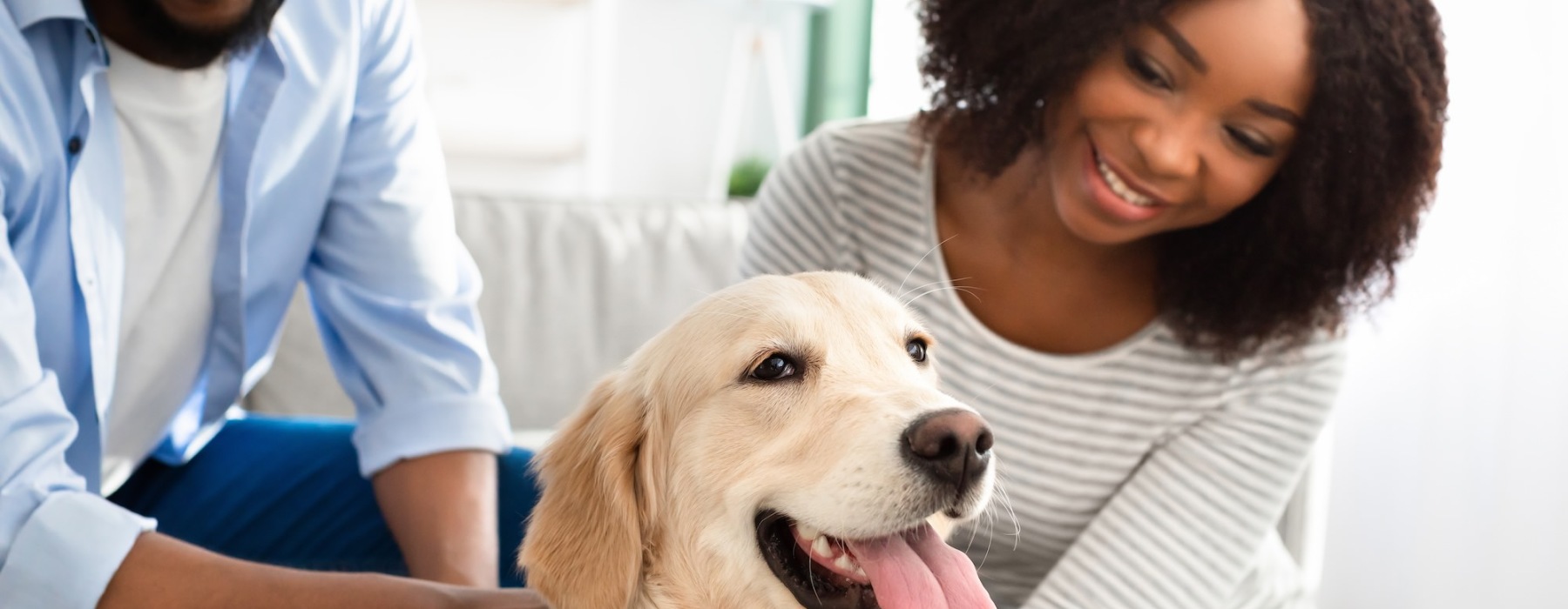 couple with dog
